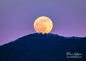 Last Full Moon Rise Of 2020 By Terry Aldhizer